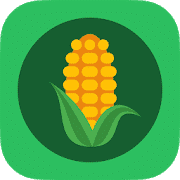 SilageSnap Mobile App – Measuring the Corn Size