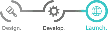 Design, develop, and launch
