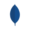 MongoDB